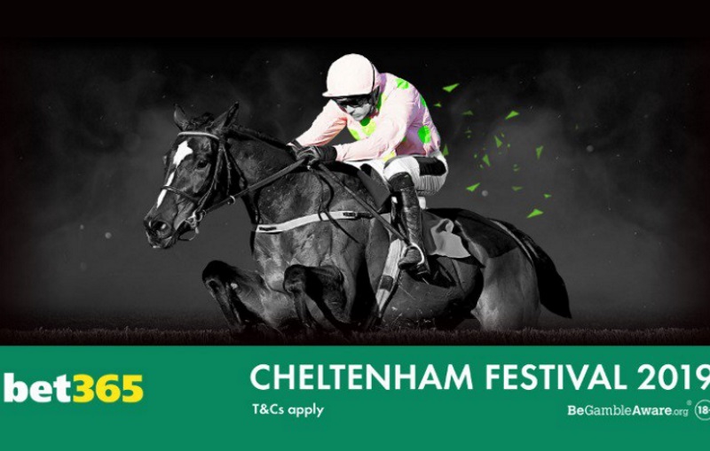 2019 Cheltenham Festival Betting Lines